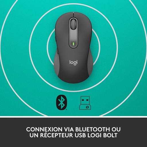 [sourisf3] Logitech Souris sans fil Grande Taille